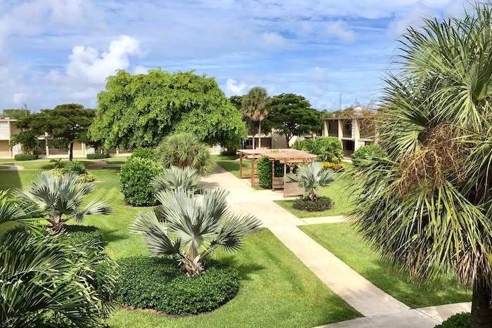 A lush green landscape with several pathways intersecting through manicured lawns. Palm trees and various shrubs are scattered throughout the area. In the background, there are buildings partially visible under a bright blue sky.