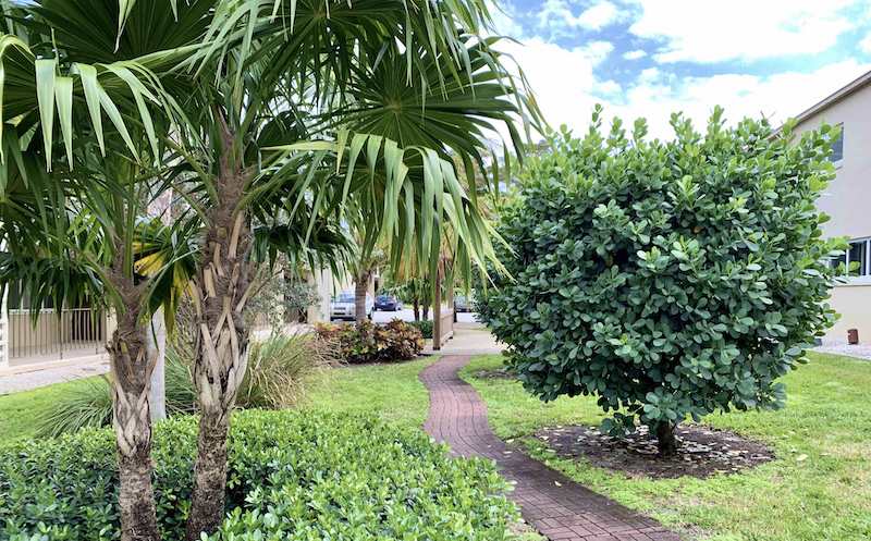 A narrow brick path winds through a small garden with lush green grass, palm trees, and a dense bush, highlighting the beautiful location. A building and a fence are visible in the background under a partly cloudy blue sky, offering serene amenities to enjoy.