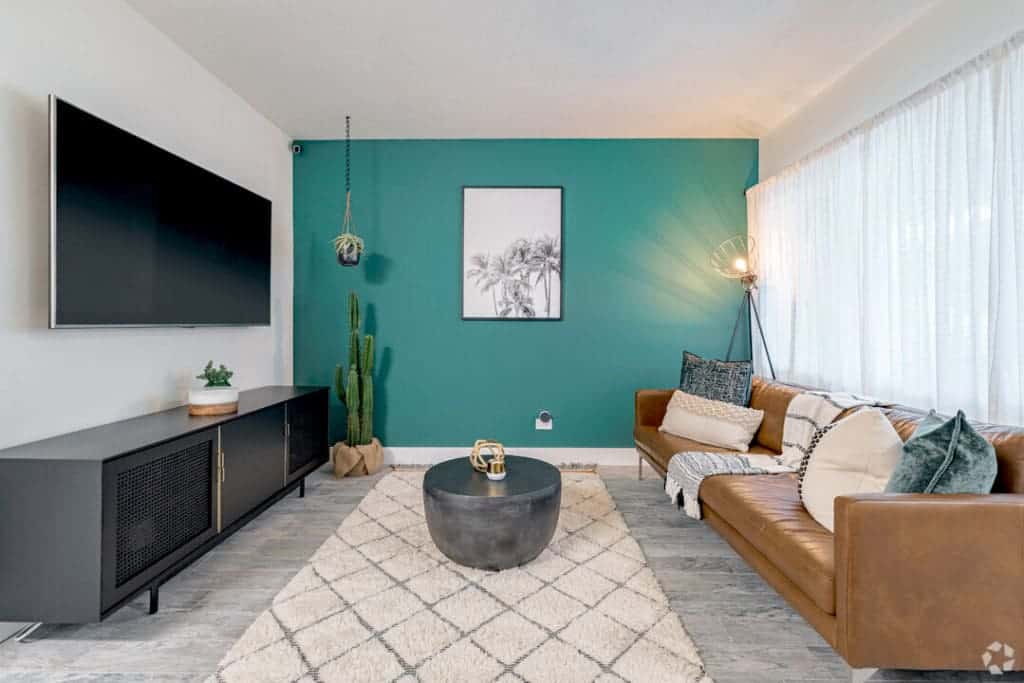 A modern living room with a brown leather sofa adorned with cushions and a throw blanket. A round black coffee table sits on a patterned rug. A large TV is mounted on the wall, and a cactus plant is in the corner. A window lets in natural light.