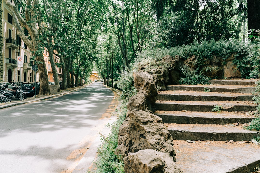 A quiet, tree-lined street with buildings on the left and stone steps leading up on the right. The road is empty, shaded by greenery, creating a peaceful urban scene.